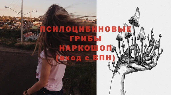 героин Белокуриха