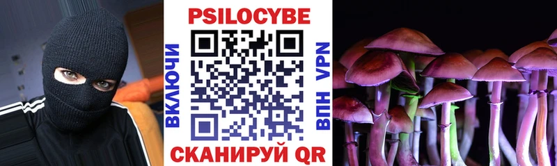 ОМГ ОМГ ссылки  купить наркотик  Магас  Псилоцибиновые грибы Psilocybine cubensis 